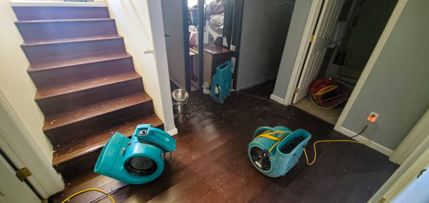 Best Fire Damage Restoration  in Sausalito, CA