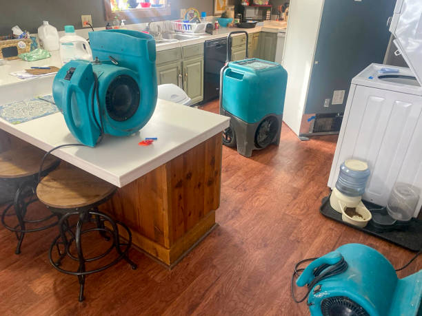 Best Professional water damage repair  in Sausalito, CA