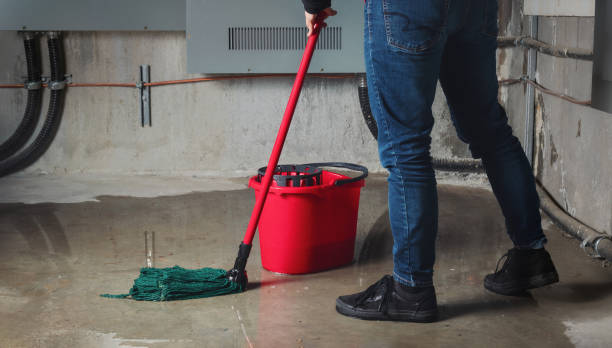 Best Basement water damage restoration  in Sausalito, CA