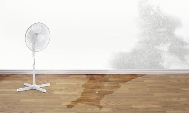 Best Ceiling water damage repair  in Sausalito, CA