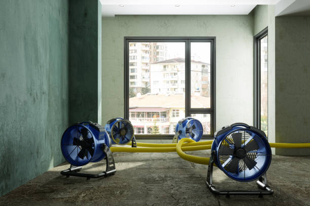 Best Residential water damage restoration  in Sausalito, CA